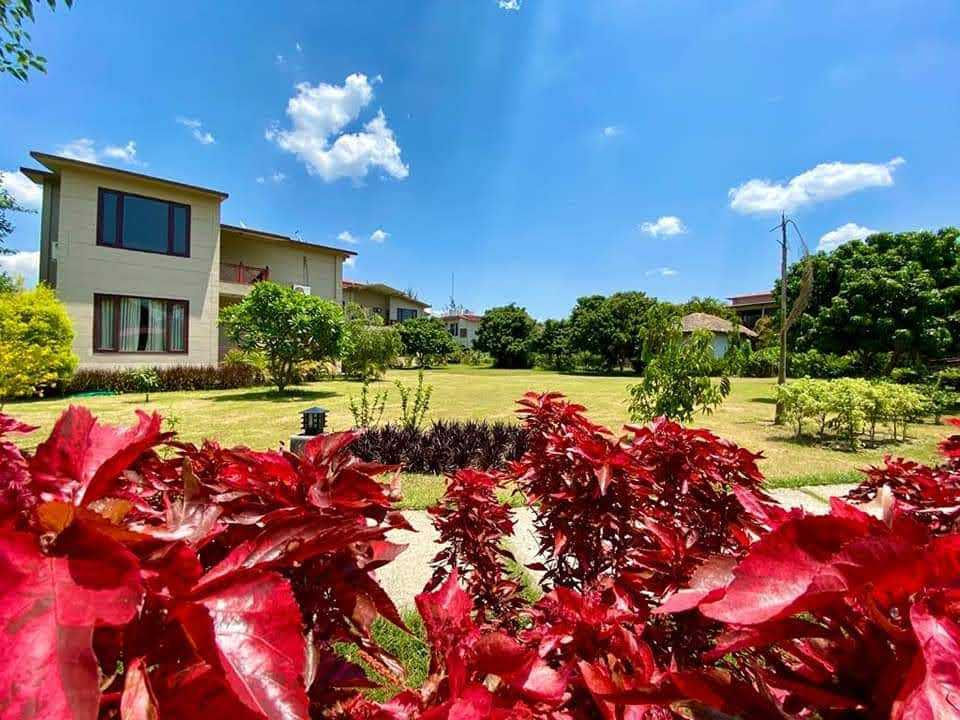 sunday alaya resort corbett