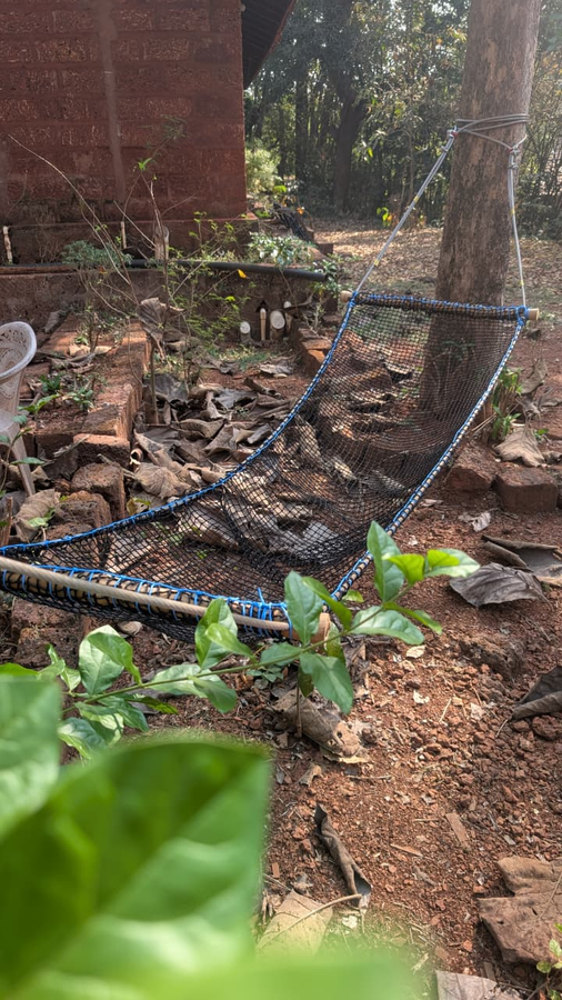 konkan nest resort