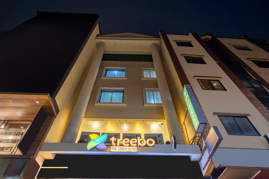 treebo green olive