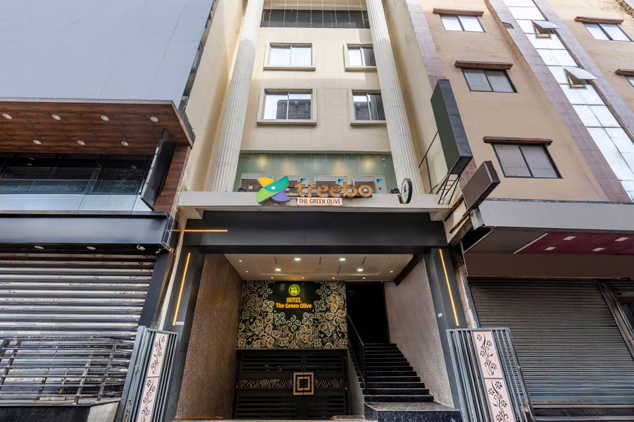 treebo green olive