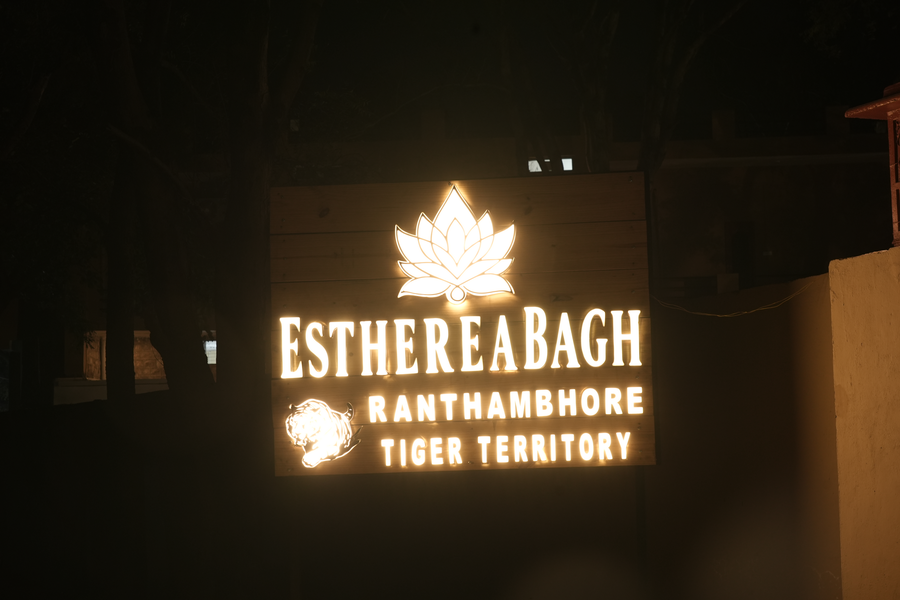 estherea bagh ranthambhore tiger territory