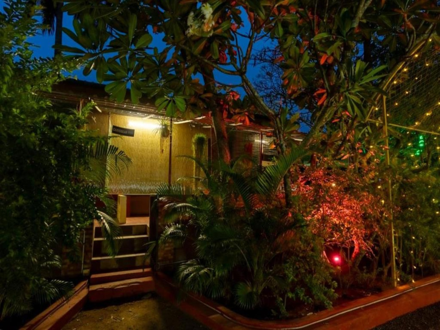 the whistling pine woods