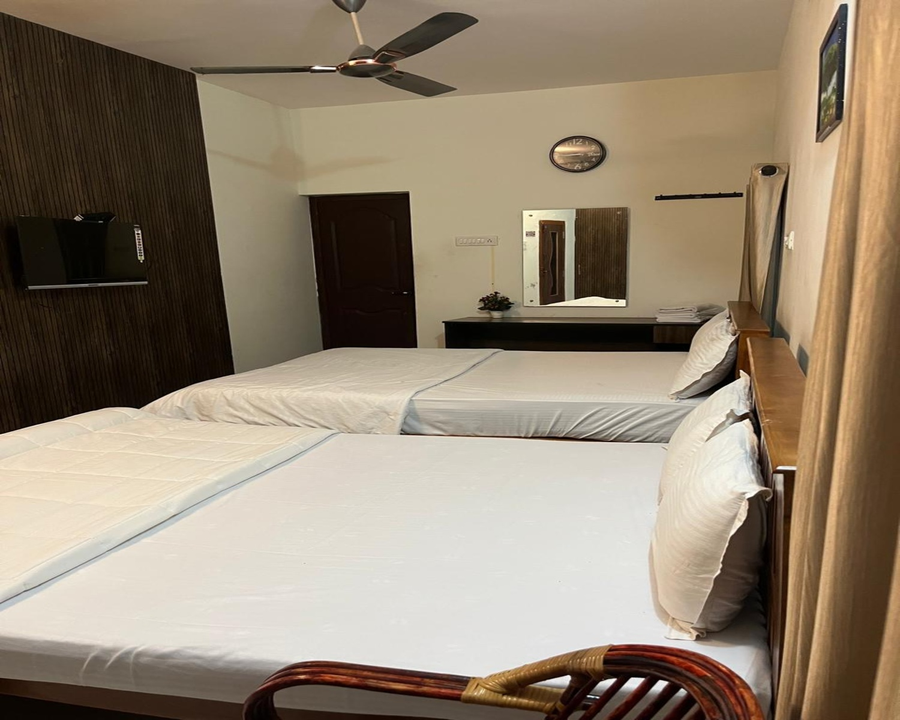 the whistling pine woods