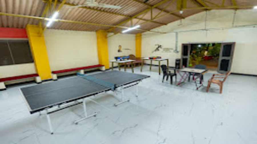 the whistling pine woods