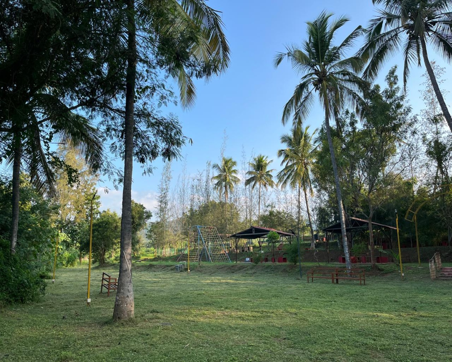 the whistling pine woods