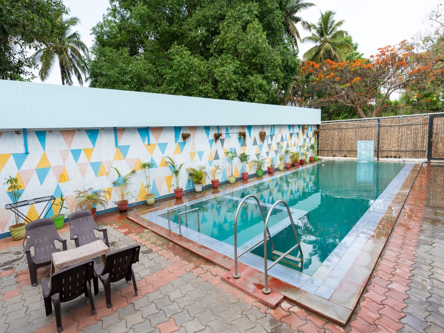 the whistling pine woods