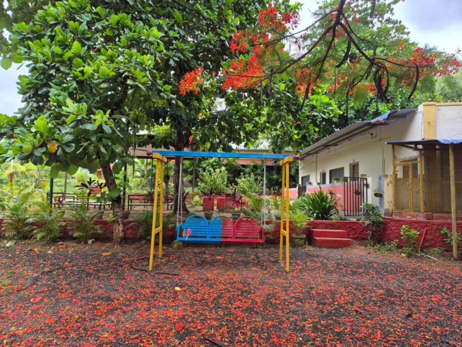 the whistling pine woods