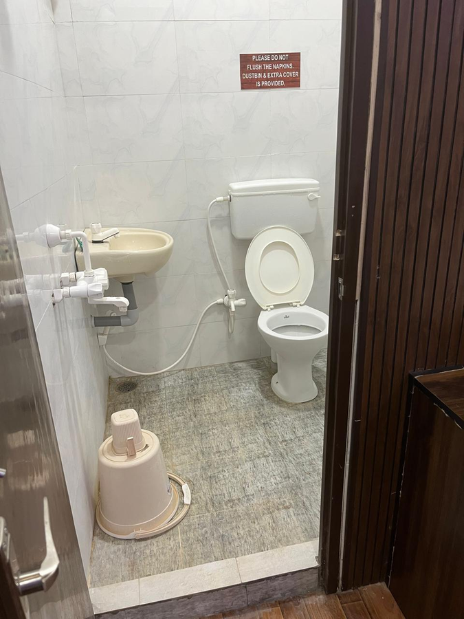 the whistling pine woods