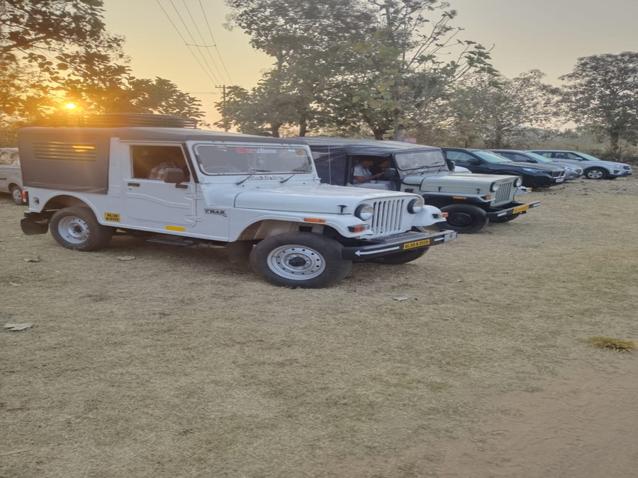 the whistling pine woods