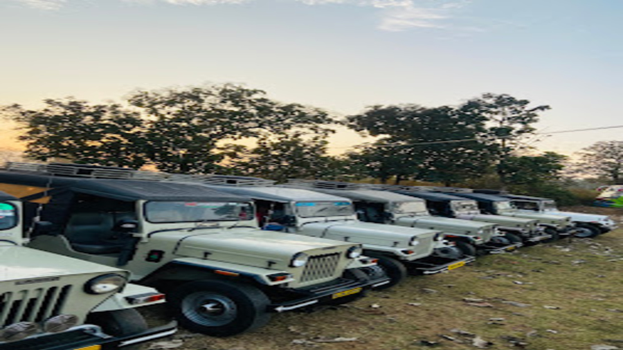 the whistling pine woods