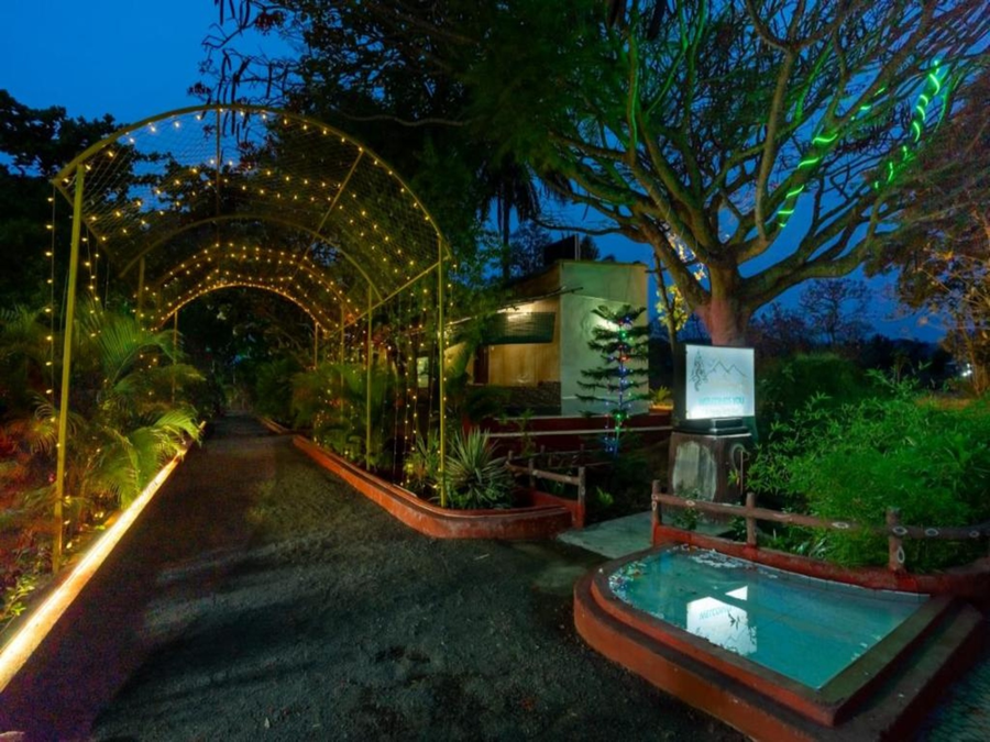 the whistling pine woods