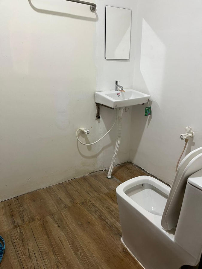 the whistling pine woods