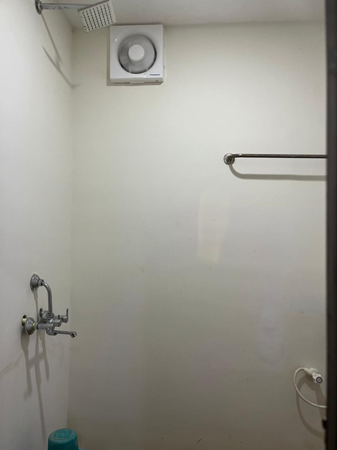 the whistling pine woods