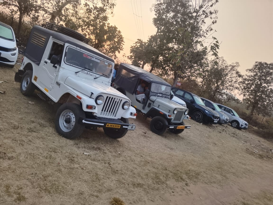 the whistling pine woods