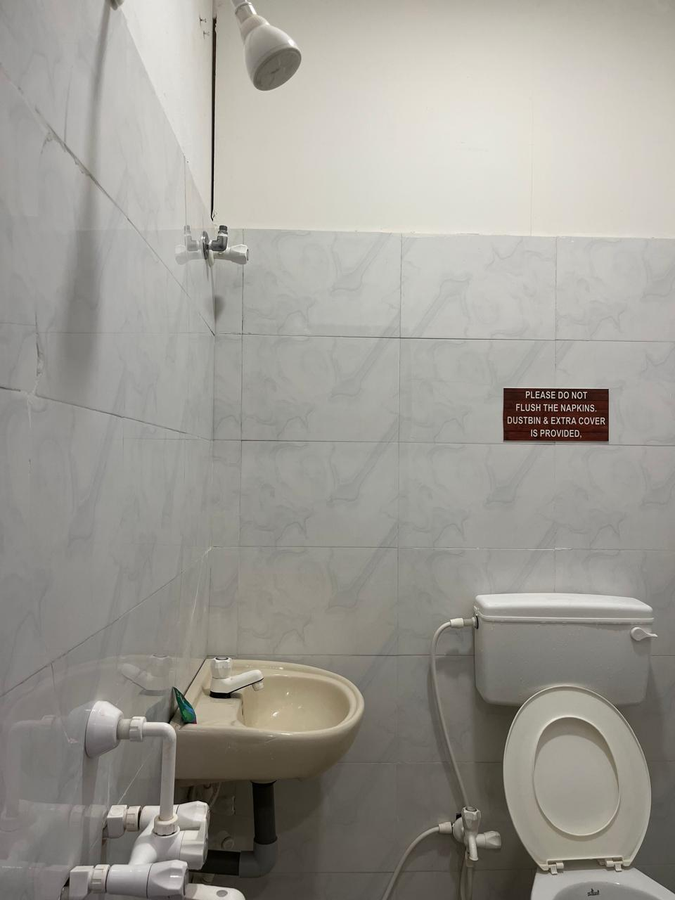 the whistling pine woods