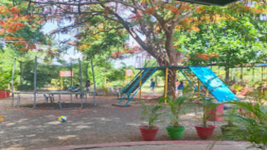 the whistling pine woods