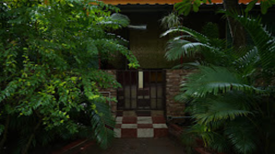 the whistling pine woods