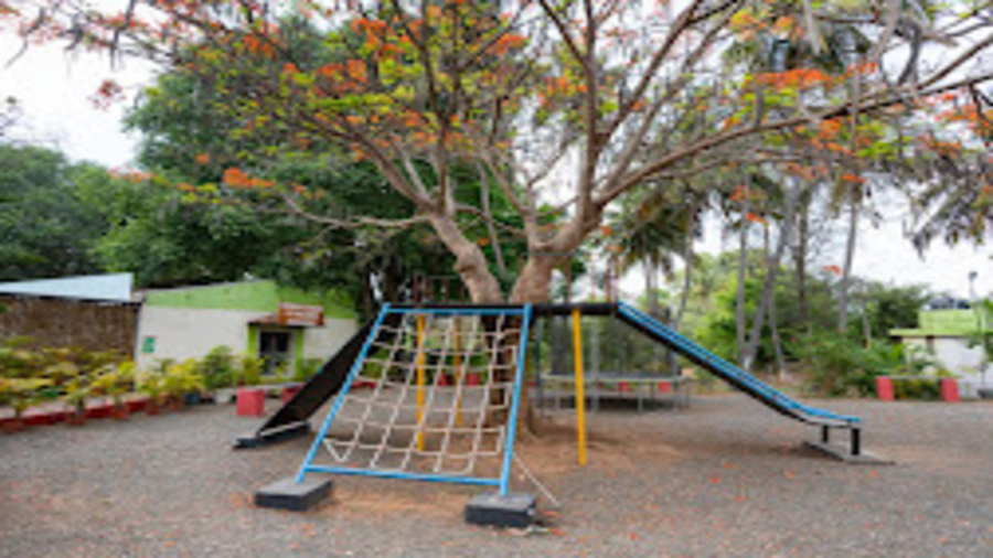 the whistling pine woods