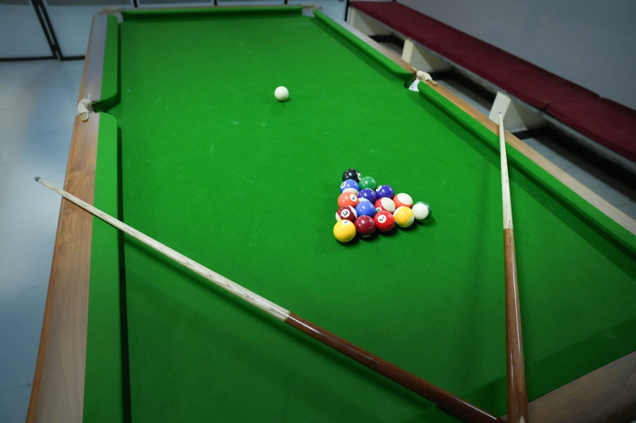 the whistling pine woods