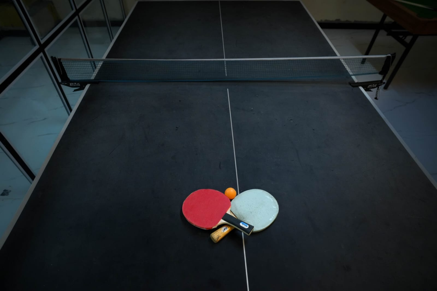 the whistling pine woods