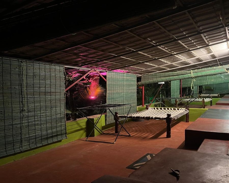 the whistling pine woods