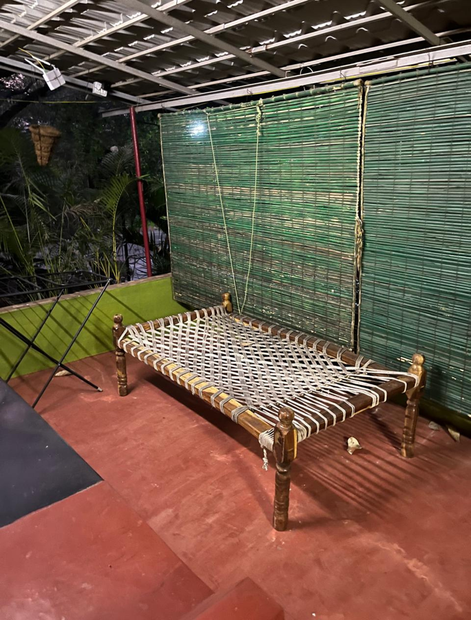 the whistling pine woods