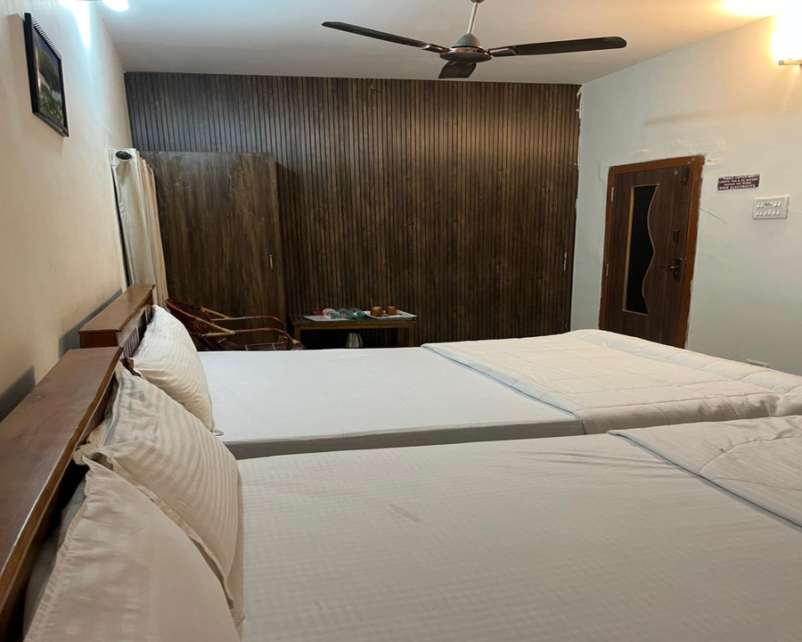 the whistling pine woods