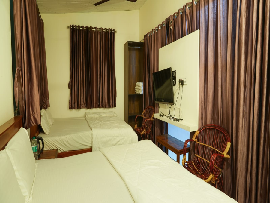 the whistling pine woods