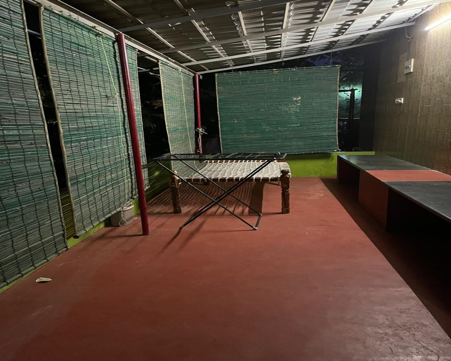 the whistling pine woods