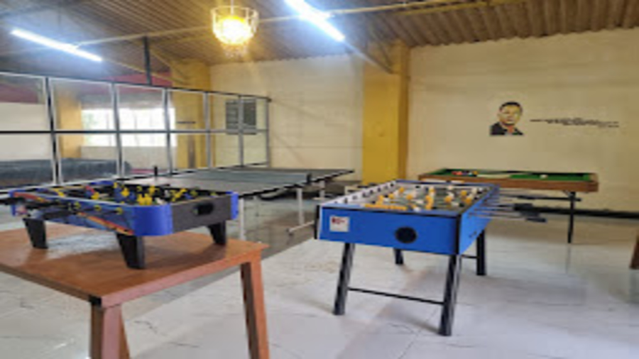 the whistling pine woods