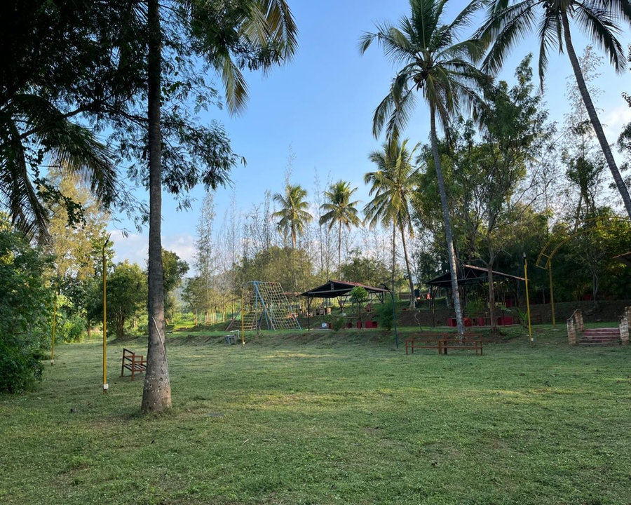 the whistling pine woods