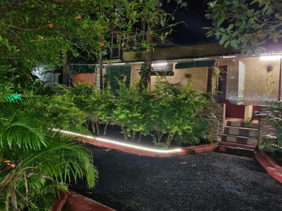 the whistling pine woods