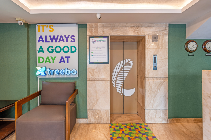 treebo comfy business