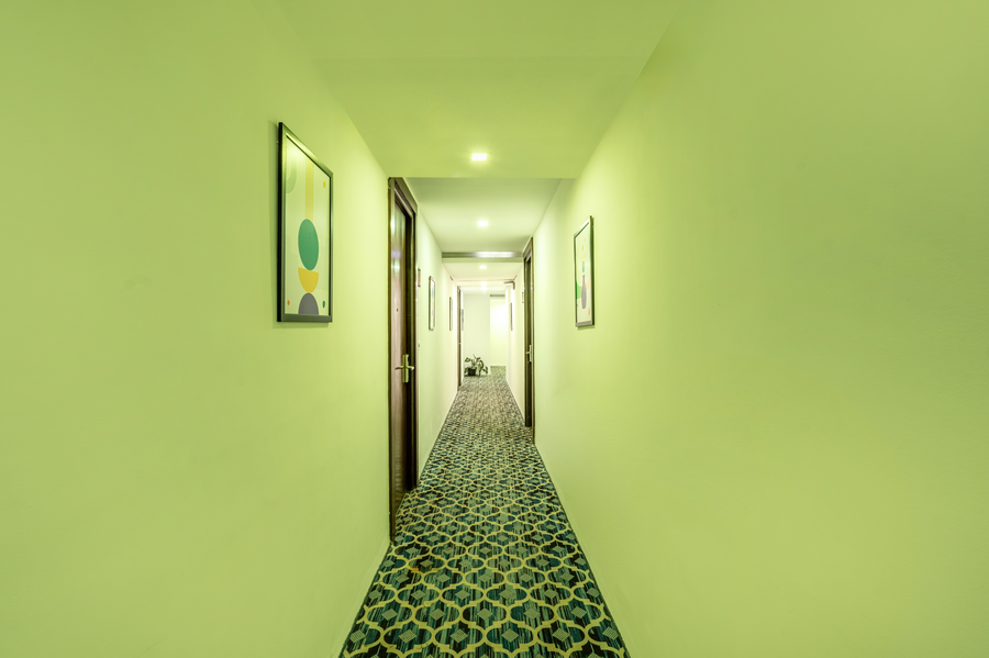 treebo comfy business