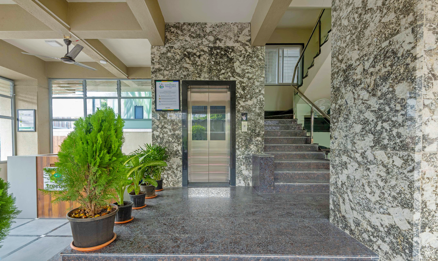 treebo sunrise apartments