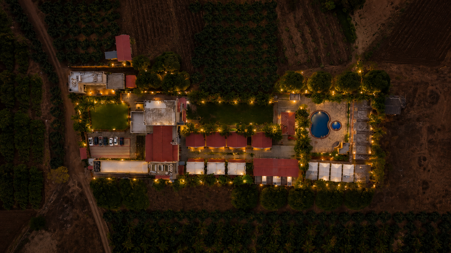lion park hotel and resorts