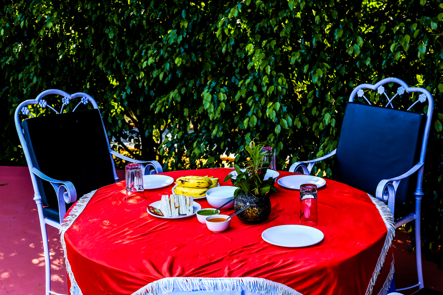 sariska forest trails