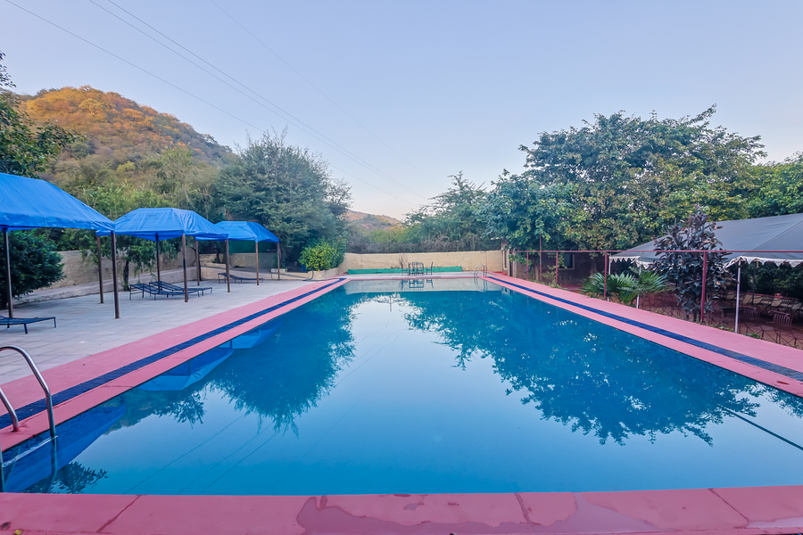 sariska forest trails