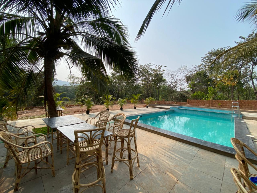 blu butterfly resort