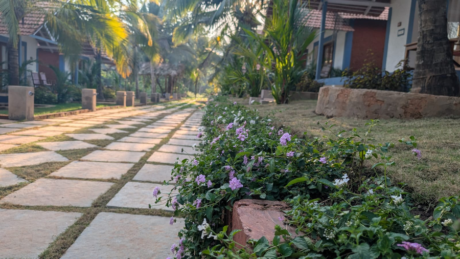 Blu Butterfly Resort,Agonda,3 star