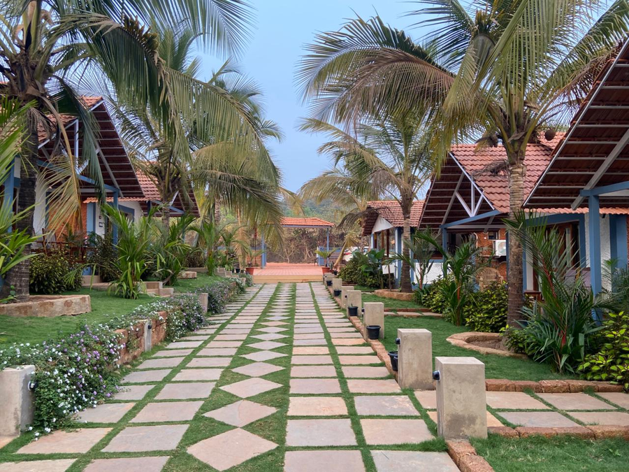 blu butterfly resort