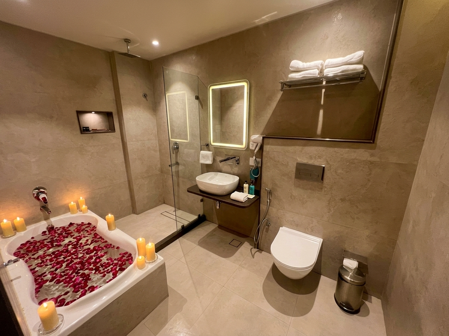 hotel vedic roots