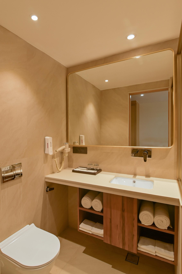 amber a unit of sayaji hotels