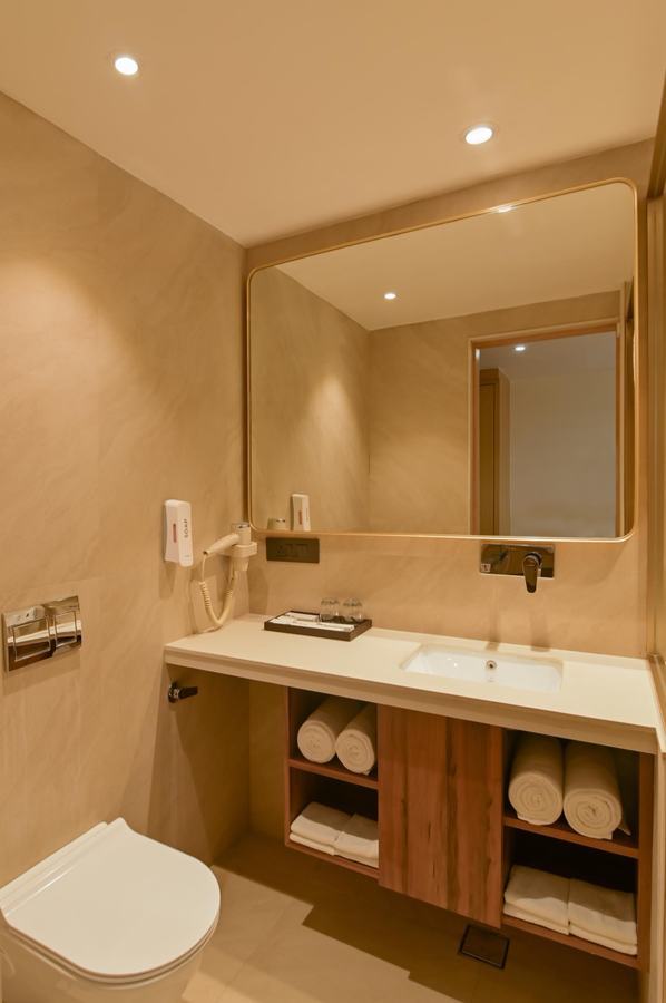 amber a unit of sayaji hotels