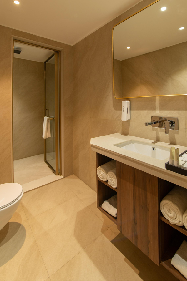 amber a unit of sayaji hotels