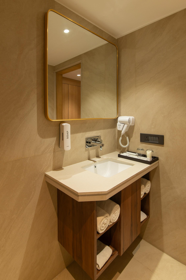 amber a unit of sayaji hotels