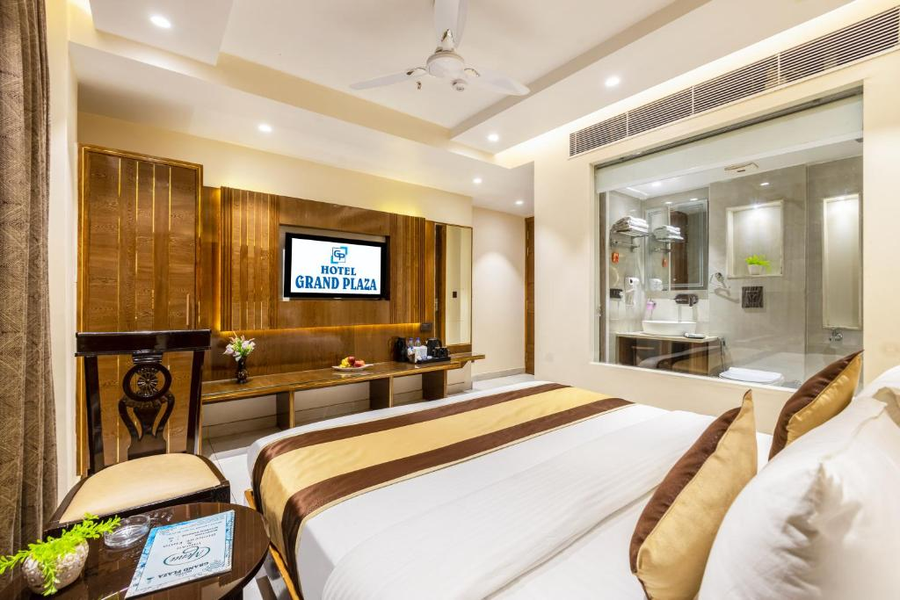 hotel grand plaza paharganj
