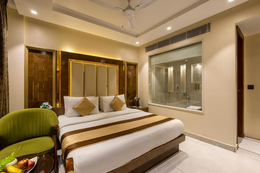 hotel grand plaza paharganj