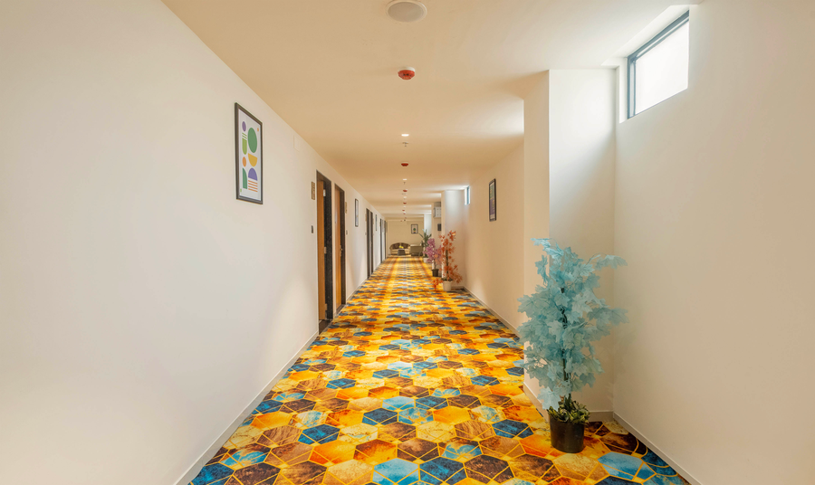 treebo executive suites