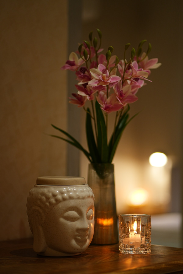 the bodhi 5 bedroom luxury apartment central jaipur